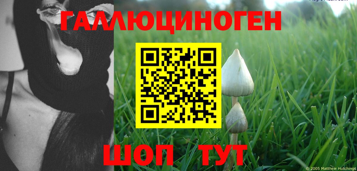 Галлюциногенные грибы прущие грибы  Вход с VPN  Ливны 